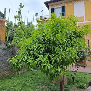 Affittacamere Affittacamere Antonella, Monterosso al Mare